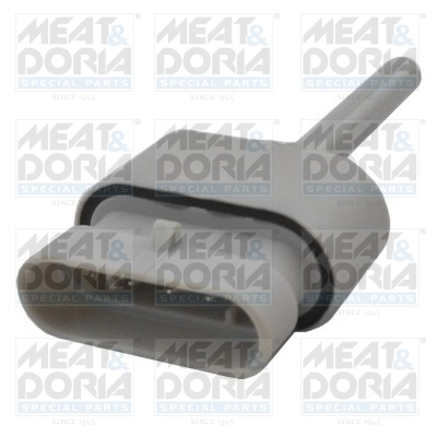Water Sensor, fuel system